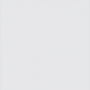 300 Series Dishwasher 24'' White